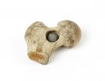 Bone with Embedded Musket Ball