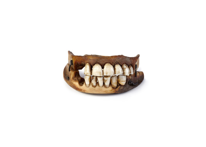 Waterloo teeth, copyright Victoria Gallery & Museum, University of Liverpool. Photography Relic Imaging Ltd.