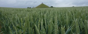 The lion mound at Waterloo