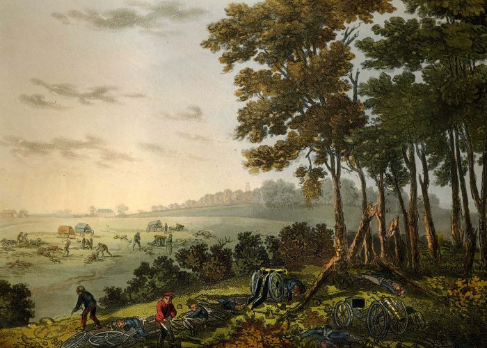 a print showing soldiers in red tunics next to a small woodland overlooking fields