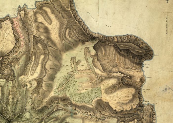 a detail of an old map showing coastline and woodland