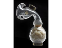 A photograph of a glass inhaler with cotton wool at the bottom.