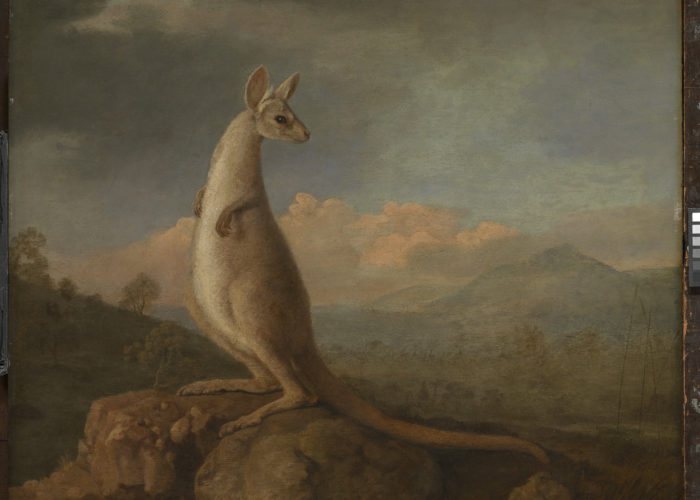 A painting of a Kangaroo standing on a rock with a landscape scene in the background.