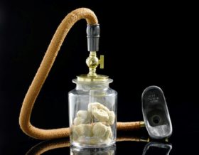 a chloroform inhaler - a glass jar containing pieces of natural sponge with tube and facemask attached